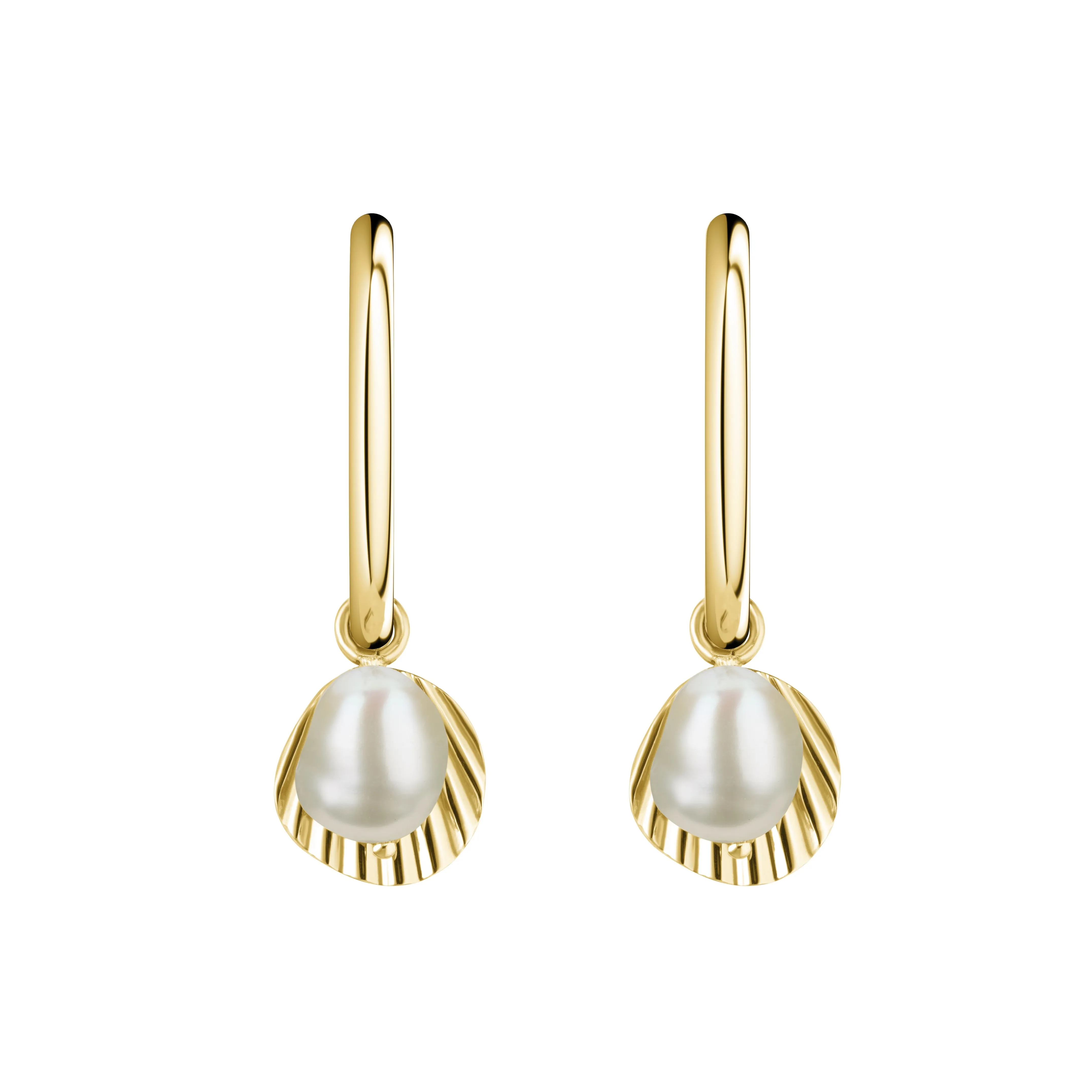 BLAK- Rosefield Shell & Pearl Drop Earring - Gold