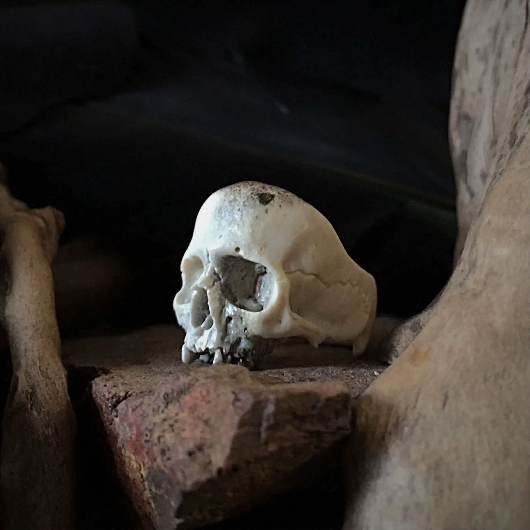 Decay Skull Ring